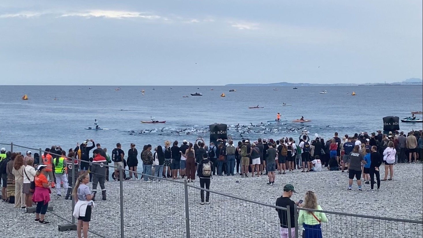 Irgendwo schwimmt Anita.