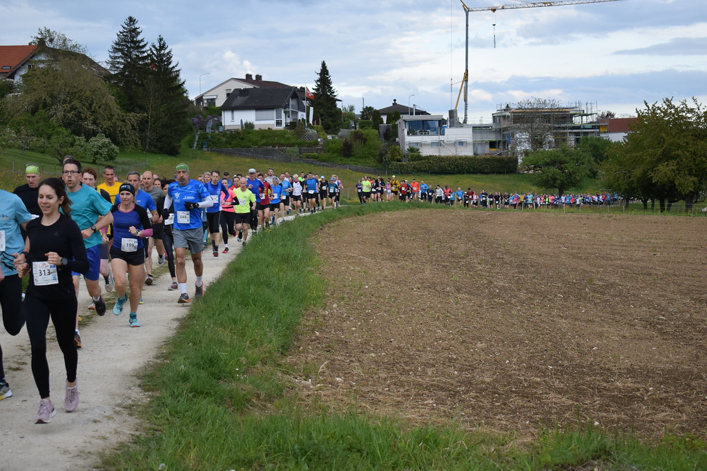 Anfangsschlaufe mit Läuferschlange