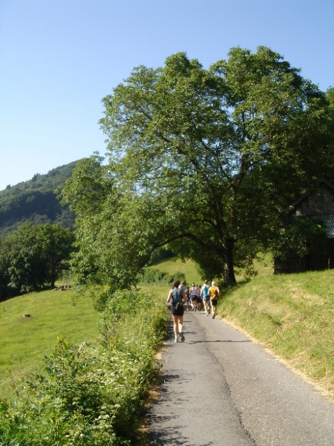 Sommerimpressionen unserer Sonntagsrunde