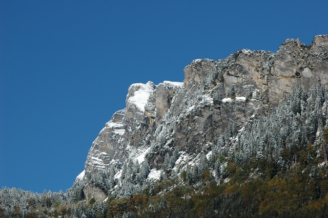 Gauschla Berglauf 2008