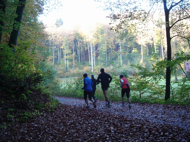 Unsere Sonntagsrunde Herbst 2008