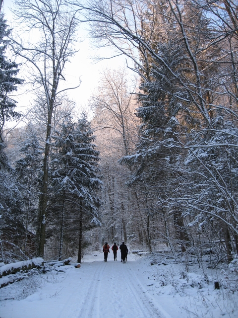 Sonntagsrunde, 20.12.2009