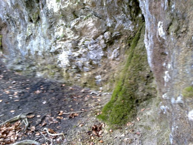 Sonntagsrunde 15. April 2012