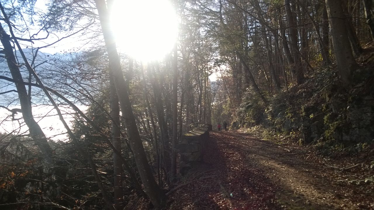 Sonntagsrunde 23.11.2014