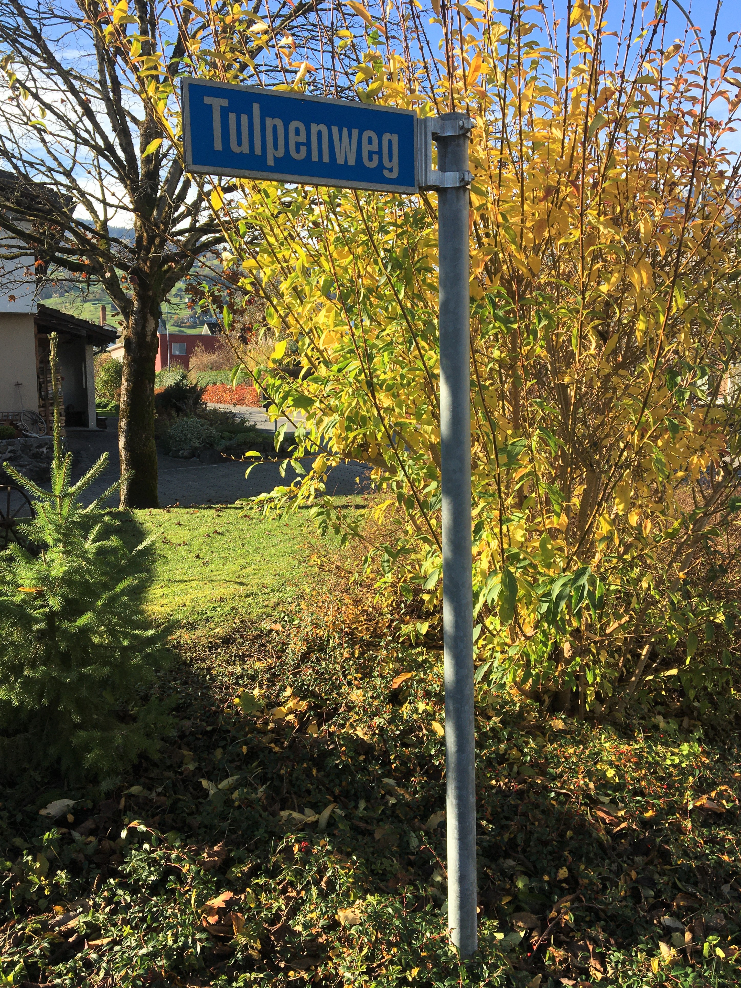 Das Startgelände in Grabs