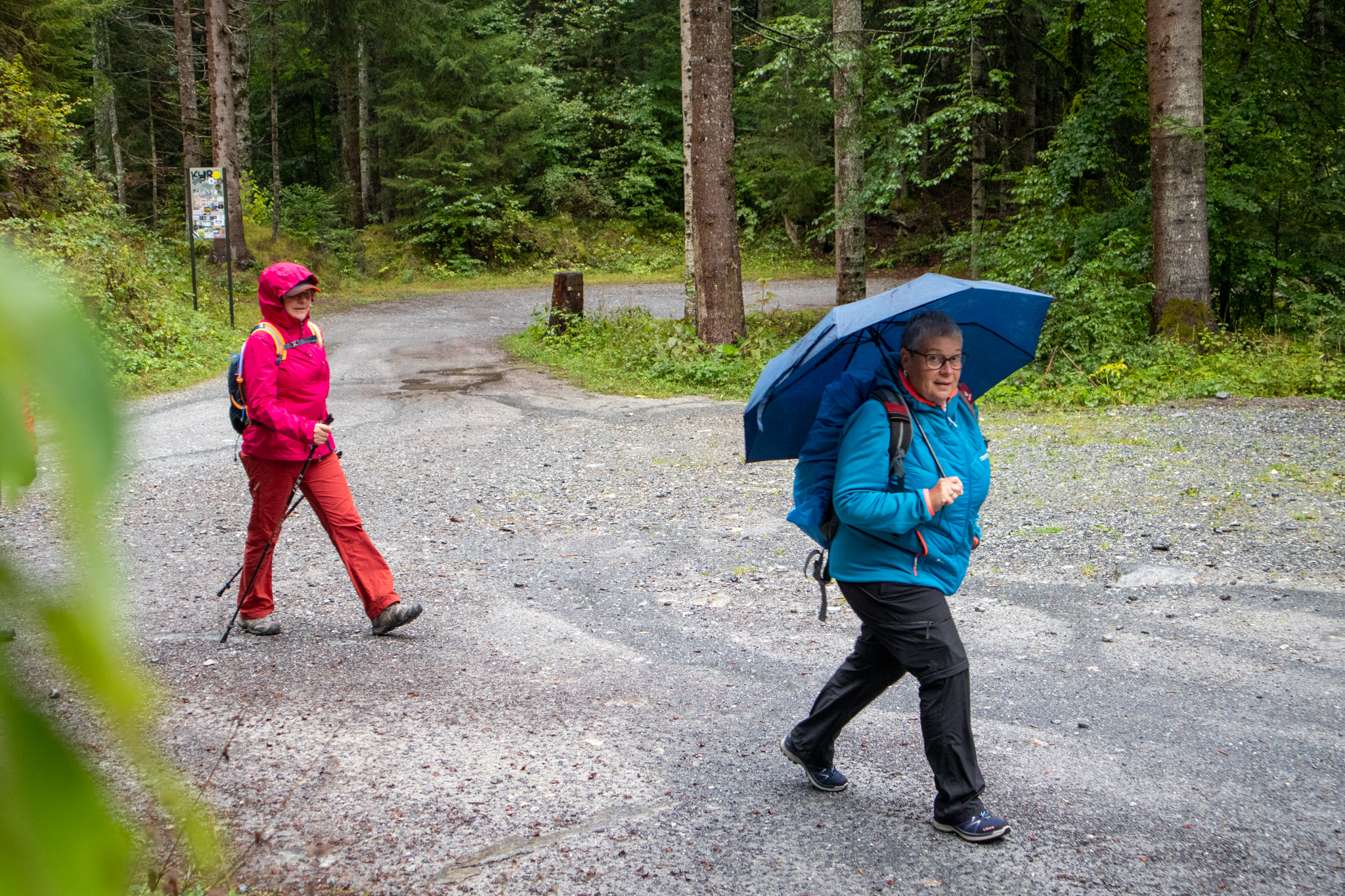 auf geht's Richtung Flims