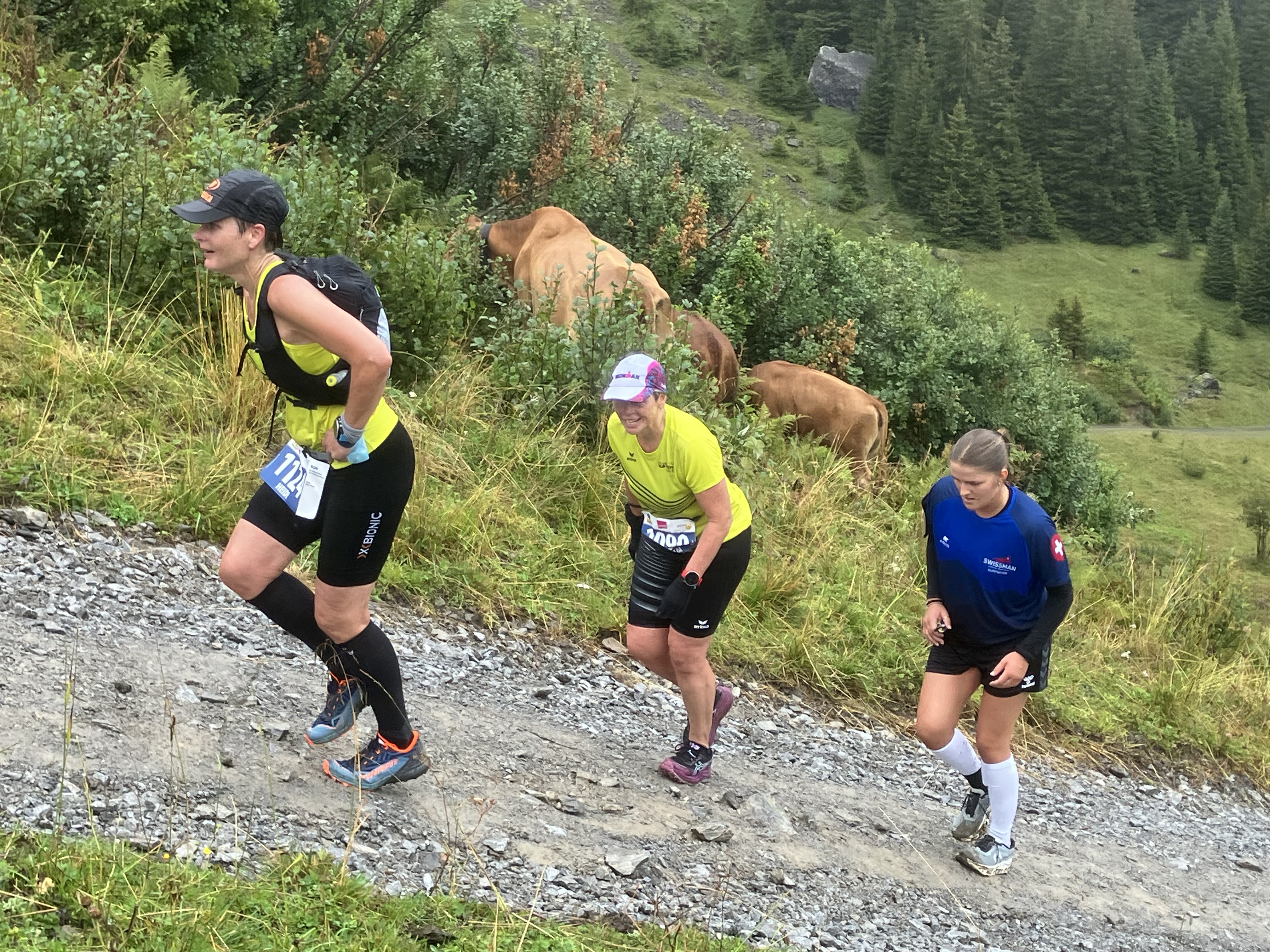 Aufstieg hinter dem Almendhubel