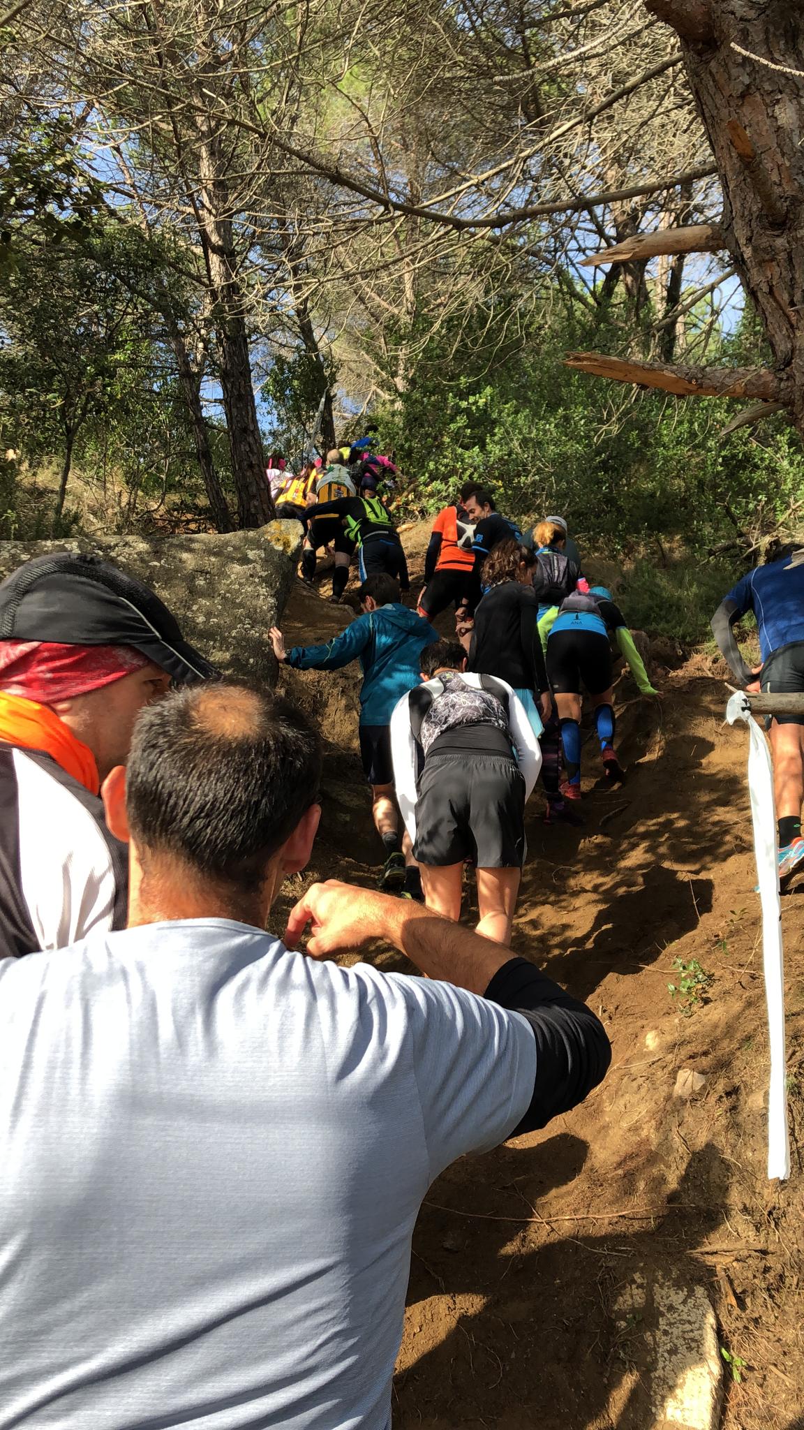 immer noch aufwärts