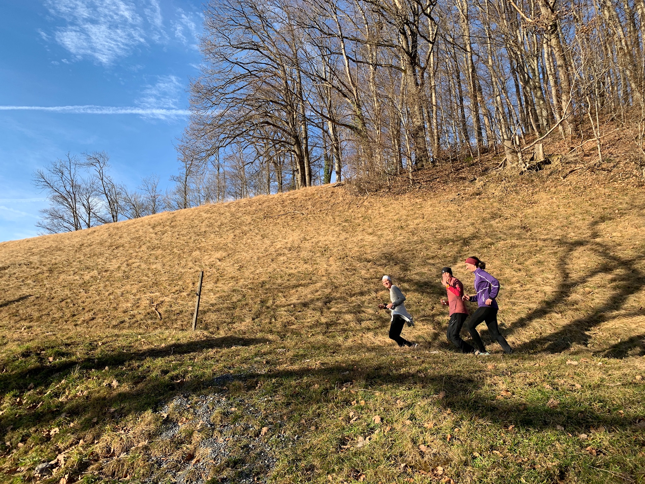 Die schnellen drei Damen