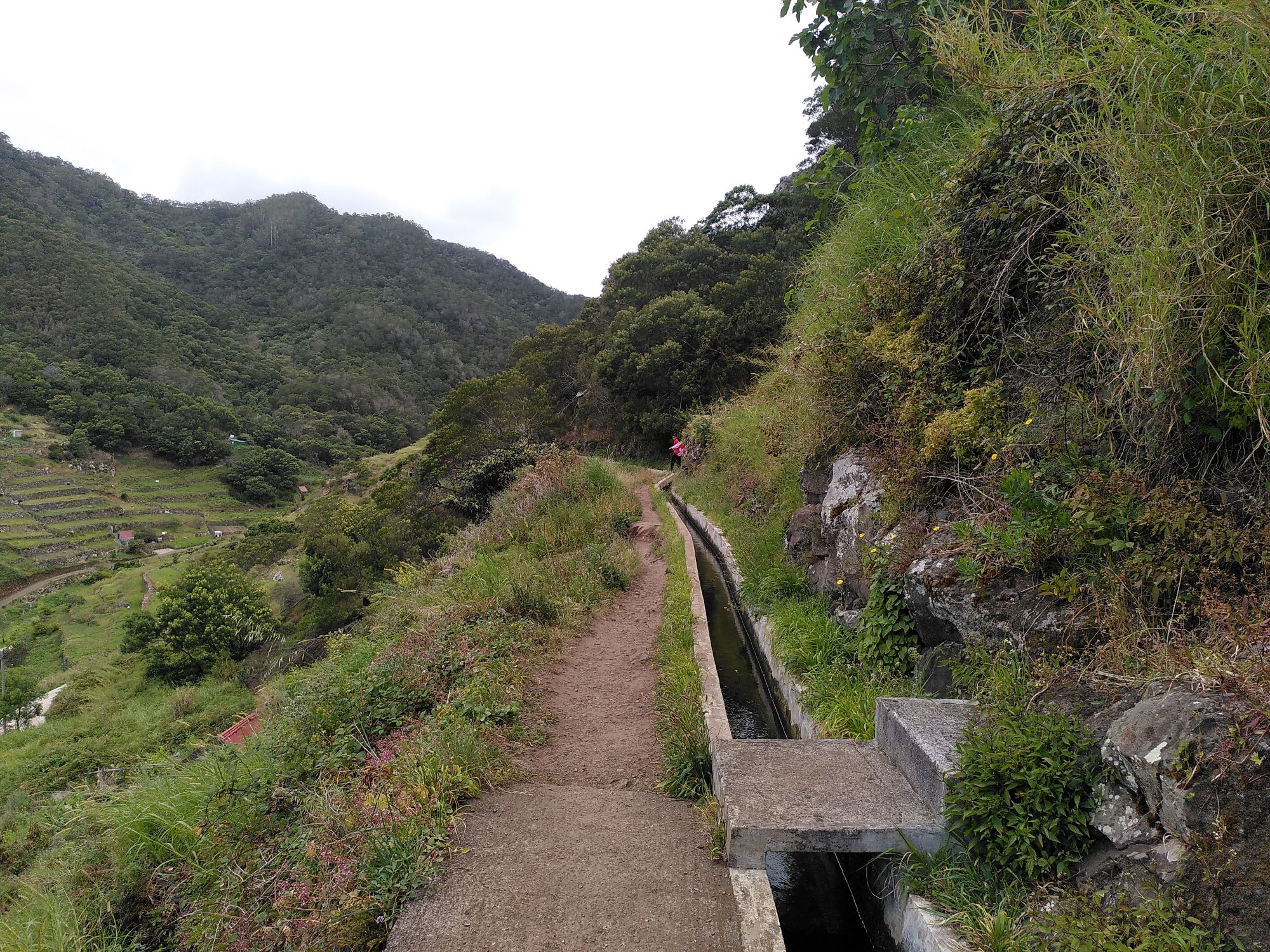 Michele schaut, wer da kommt.