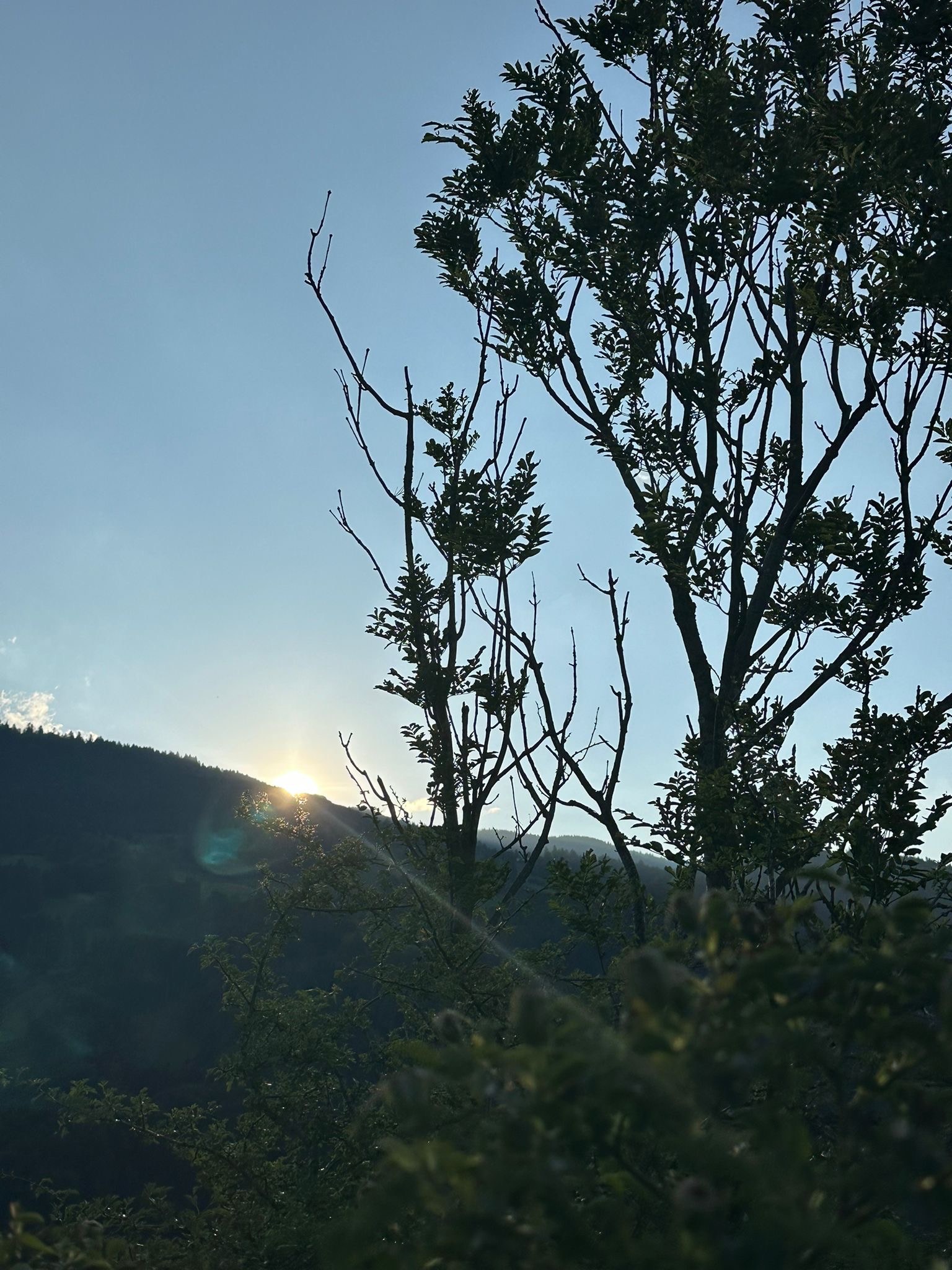 Wunderbare Abendstimmung