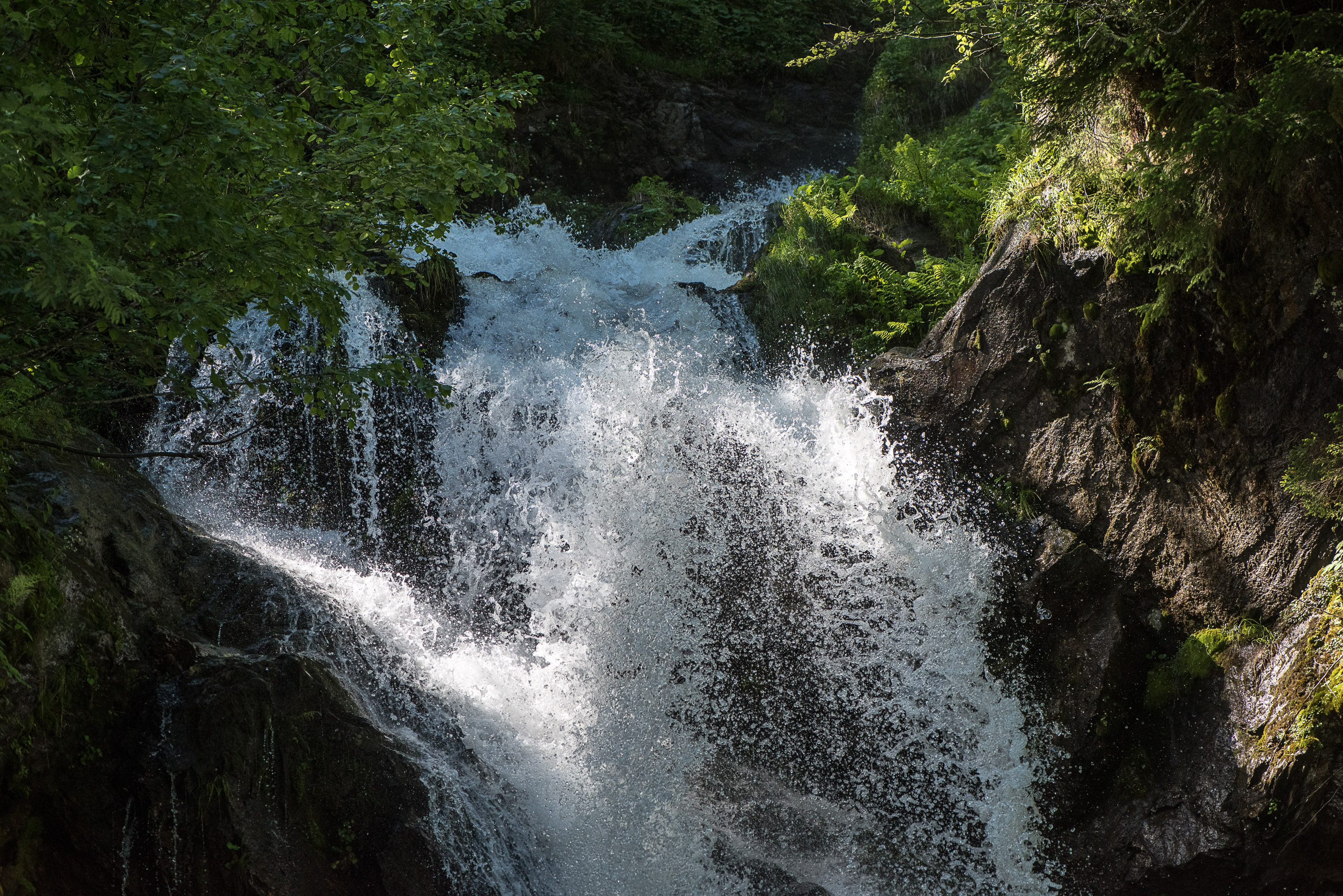 17. Montafon Arlberg Marathon am 29. Juni 2019